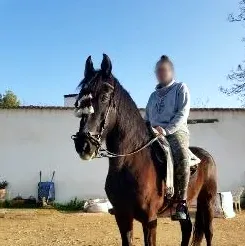 Nerea, 31 años